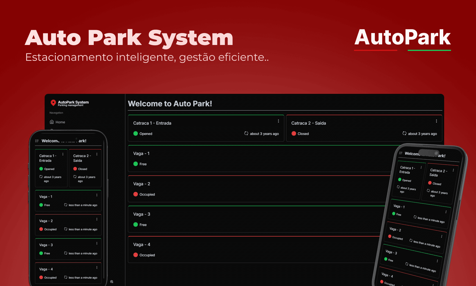 Auto Park System